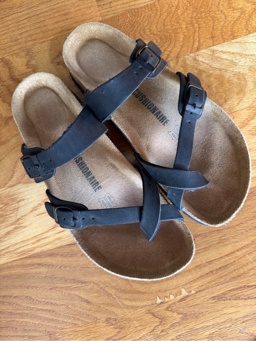 Women's Black Strappy Buckle Sandals Cushionaire Luna 7.5 - Picture 2 of 6